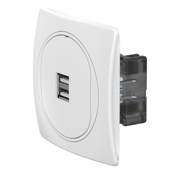 Розетка скрытой установки CADUCEUS ALING EON USB тип A для зарядки устройств, двойная, 2,1А, 5В=, 250В~