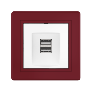 Розетка скрытой установки CADUCEUS ALING PRESTIGE двойная, USB, тип А, для зарядки устройств, 2,1А, 5В=, 250В~