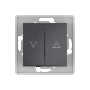 Выключатель скрытой установки CADUCEUS ALING PRESTIGE кнопочный для рольставней/жалюзи, 10А, 250В~, механизм