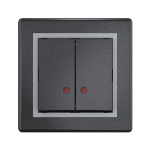 Выключатель скрытой установки CADUCEUS ALING PRESTIGE двухклавишный, с индикацией, 10АХ, 250В~