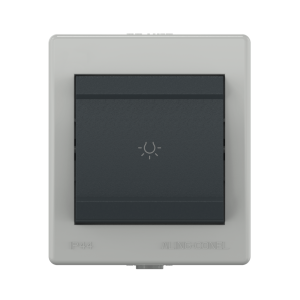 Выключатель одноклавишный CADUCEUS ALING POWER для открытой проводки, с символом «Свет», 10АХ, 250В~