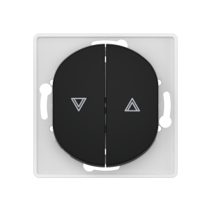 Выключатель скрытой установки CADUCEUS ALING EON, кнопочный, для рольставней, 10А, 250В~, механизм