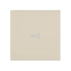 Клавиша CADUCEUS ALING EXPERIENCE, 2М, с символом «ключ»