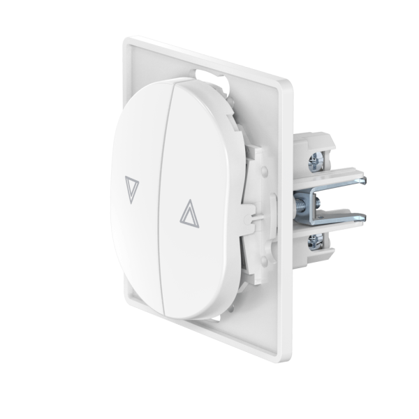 Выключатель скрытой установки CADUCEUS ALING EON, кнопочный, для рольставней, 10А, 250В~, механизм