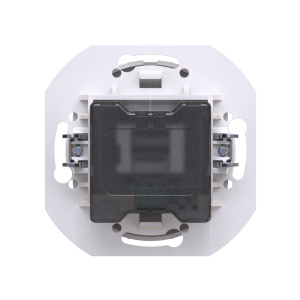 Розетка скрытой установки CADUCEUS ALING EON USB тип A для зарядки устройств, двойная, 2,1А, 5В=, 250В~, механизм