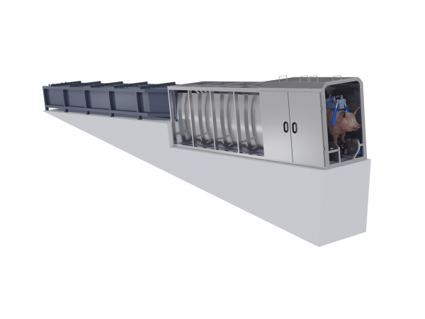 Электрооглушающий аппарат для мозга и сердца (рейстрейнер)