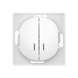 Выключатель скрытой установки CADUCEUS ALING EON, двухклавишный, с индикацией, 10АХ, 250В~, механизм