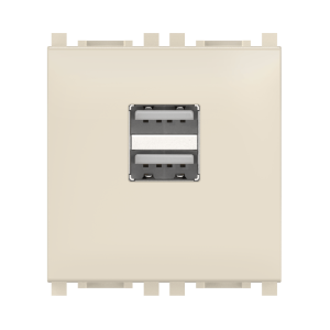 Розетка USB 2.0 тип А CADUCEUS ALING EXPERIENCE для скрытой проводки, для зарядки 2-х устройств