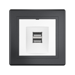 Розетка скрытой установки CADUCEUS ALING PRESTIGE двойная, USB, тип А, для зарядки устройств, 2,1А, 5В=, 250В~