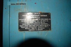 Парогенератор ПЭЭ 100-200 2009 г.в. с котлом эл.паровым