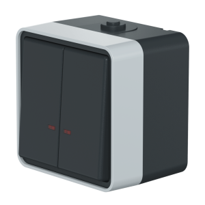 Выключатель двухклавишный CADUCEUS ALING PROTECTA для открытой проводки, с индикацией, 10АХ, 250В~