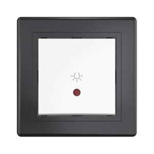 Выключатель скрытой установки CADUCEUS ALING PRESTIGE кнопочный, с символом «Свет», с индикацией, 10АХ, 250В~