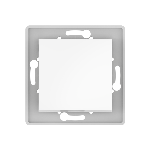 Выключатель скрытой установки CADUCEUS ALING PRESTIGE одноклавишный, проходной, 10АХ, 250В~, механизм