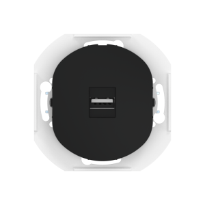 Розетка скрытой установки CADUCEUS ALING EON с модулем Keystone USB 2.0 тип A-A, механизм