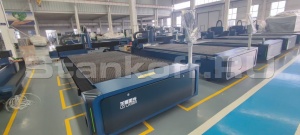 Оптоволоконный лазерный станок по металлу LD-6015S/12000 Raycus