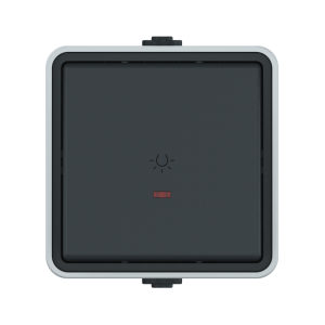 Выключатель одноклавишный кнопочный CADUCEUS ALING PROTECTA для открытой проводки, с символом «свет», с индикацией, 10АХ, 250В~