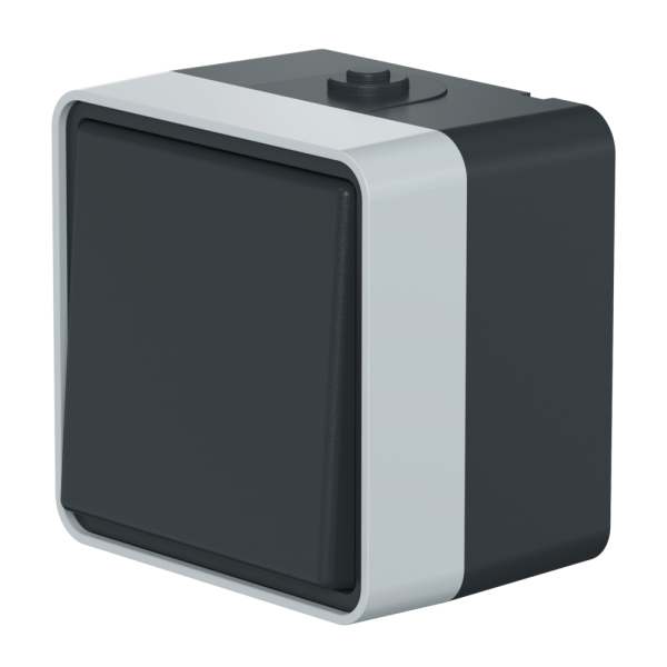 Выключатель одноклавишный CADUCEUS ALING PROTECTA для открытой проводки, 10АХ, 250В~