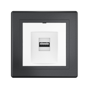 Розетка скрытой установки CADUCEUS ALING PRESTIGE с модулем Keystone USB 2.0 тип А-А, 250В~