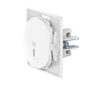 Выключатель скрытой установки CADUCEUS ALING EON, кнопочный, с символом «Свет», с индикацией, 10АХ, 250В~, механизм