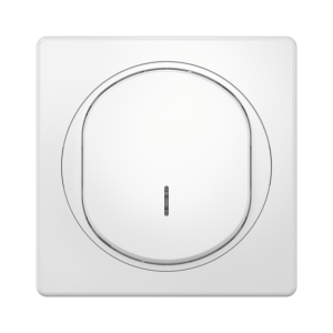 Выключатель скрытой установки одноклавишный CADUCEUS ALING EON с индикацией при включении, 16АХ, 250В~