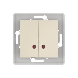 Выключатель скрытой установки CADUCEUS ALING PRESTIGE двухклавишный, с индикацией, 10АХ, 250В~, механизм