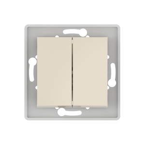 Выключатель скрытой установки CADUCEUS ALING PRESTIGE двухклавишный, 10АХ, 250В~, механизм