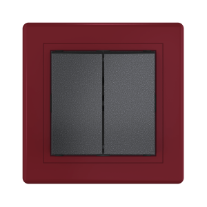 Выключатель скрытой установки CADUCEUS ALING PRESTIGE двухклавишный, 10АХ, 250В~