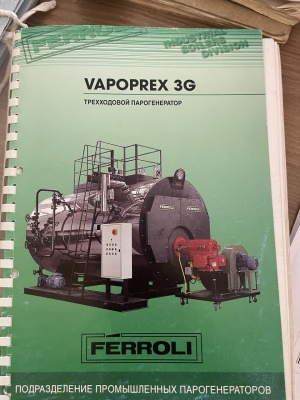 парогенератор (котёл газовый) ferroli