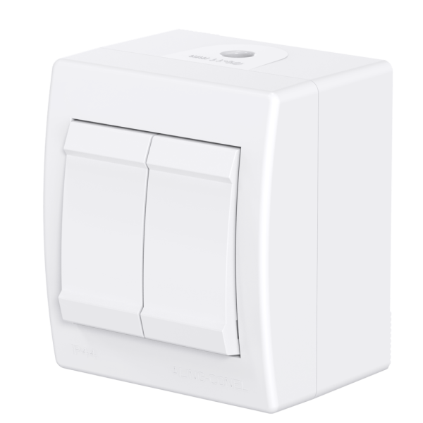 Выключатель двухклавишный CADUCEUS ALING POWER для открытой проводки, 10АХ, 250В~