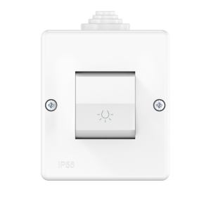 Выключатель одноклавишный CADUCEUS ALING OG для открытой проводки, с символом «Свет», 10А, 250В~