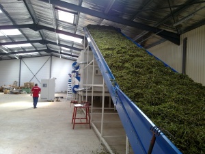 Многослойная ленточная сушилка