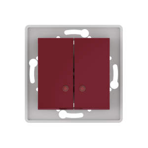 Выключатель скрытой установки CADUCEUS ALING PRESTIGE двухклавишный, с индикацией, 10АХ, 250В~, механизм