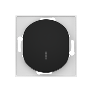 Выключатель скрытой установки CADUCEUS ALING EON, одноклавишный, проходной, с индикацией, 10АХ, 250В~, механизм