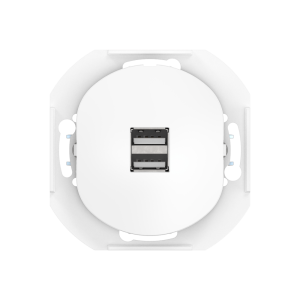 Розетка скрытой установки CADUCEUS ALING EON USB тип A для зарядки устройств, двойная, 2,1А, 5В=, 250В~, механизм
