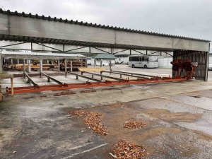 Ленточнопильный станок Wood-Mizer LT15