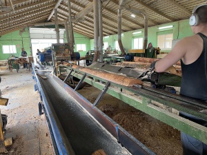 (горбылевочный станок) Diametras АS23