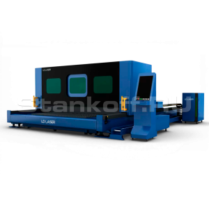 Оптоволоконный лазер для резки металла LD-8025S/6000 Raycus