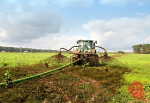 Аппликатор