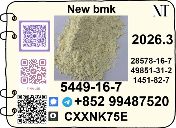hot Sale B.MK ethyl glycidate CAS 5449-12-7 Good Effect