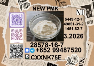 Here can buy PMK ethyl glycidate 28578-16-7 factory safe delivery