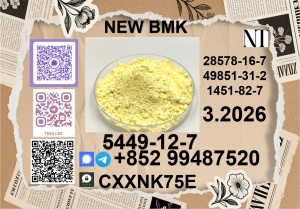 China Reliable supplier P.M.K Cas 28578-16 -7