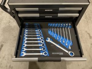 Профессиональная тележка-шкаф с набором инструментов 11640 Silverstahl Limited Edition