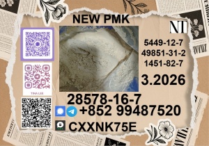 hot Sale P.MK ethyl glycidate CAS 28578-16-7 Good Effect