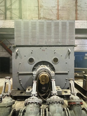 Электродвигатель 2СДС3-630S-16 У3 Рн=1600кВт Uн=6кВ 375 об/мин