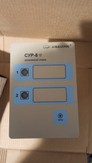 Альбатросы