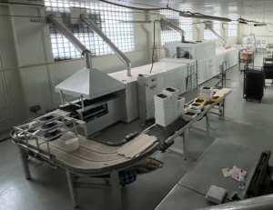 Линия с газовой тоннельной печью