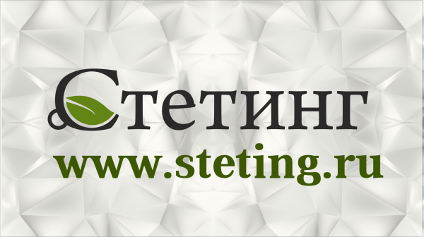 ООО «Стетинг»