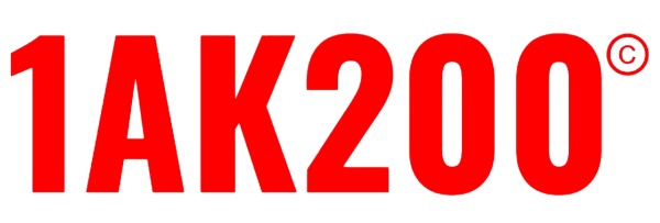 ООО ТЮРНИНГ