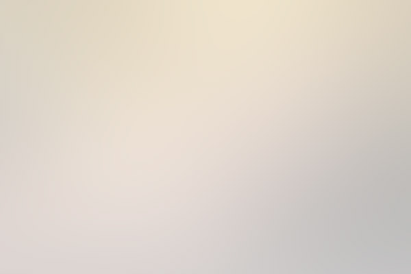 Погрузчик XCMG LW300FN заводской № XUG0300FJECB05529 г.в. 2014