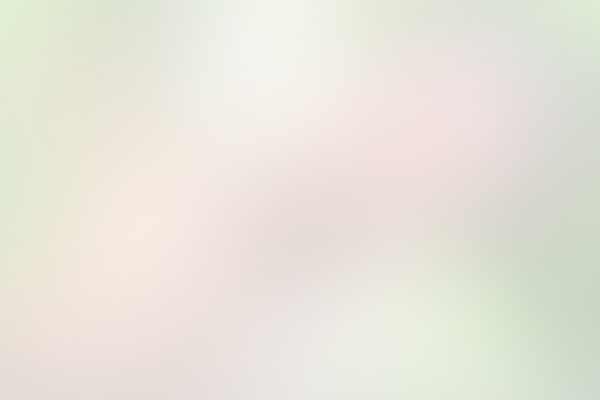 Полуприцеп WIELTON NS-3, 2023 Лот №1300. Полуприцеп WIELTON NS-3, 2023, Идентификационный номер: SUDNS300000135135